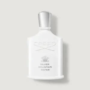 Silver Mountain Water